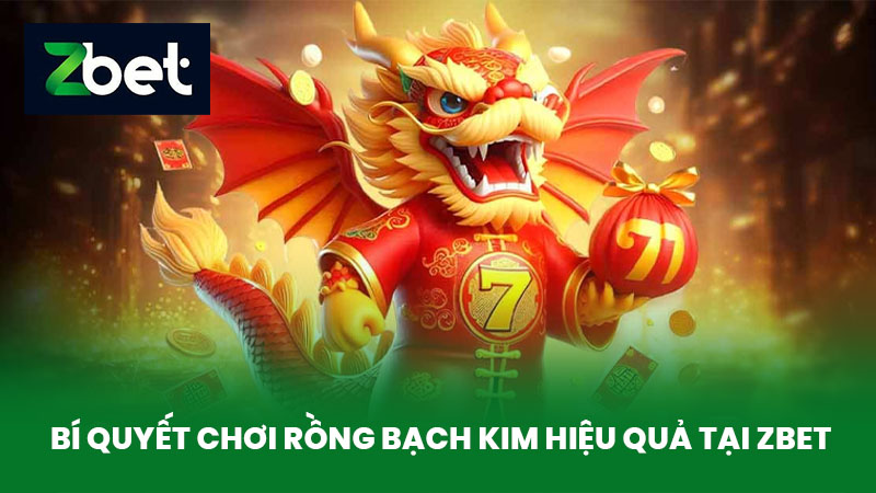 Rồng Bạch Kim - Soi Cầu Rồng Bạch Kim Hiệu Quả Tại Nhà Cái ZBET 4 Bí Quyết Chơi Rồng Bạch Kim Hiệu Quả Tại ZBET